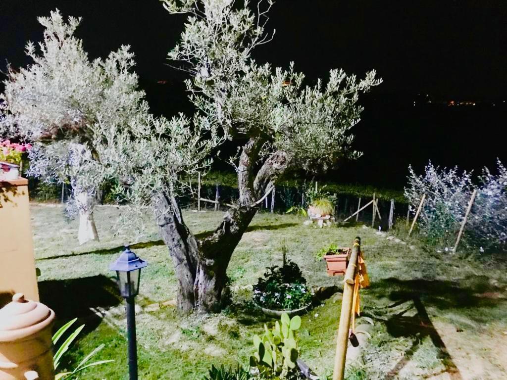 Villa Sarno Montesilvano Marina Exteriör bild